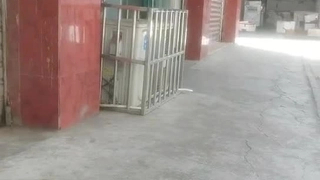 中国精品久久久久久久久久久-小鸟酱与小果酱写真